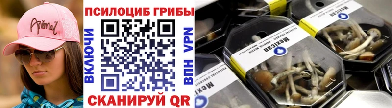 Псилоцибиновые грибы Psilocybine cubensis Кемерово